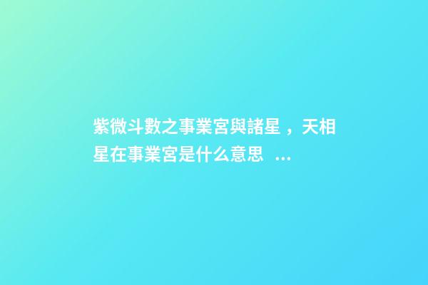 紫微斗數之事業宮與諸星，天相星在事業宮是什么意思？